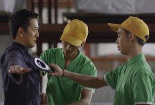 林氏木业爆料视频大全,揭秘行业真相与品牌风采