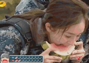 吃瓜变帅哥,瓜果飘香变帅哥的神奇之旅