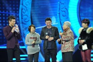 2015年明星同乐会,星光熠熠，欢乐共享的璀璨之夜