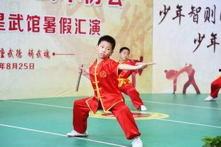 拳明星武术,武术传奇的璀璨星辰