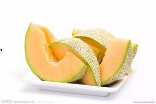 蝙蝠吃哈密瓜吗,揭秘它们是否享用哈密瓜