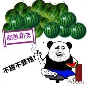 许昌吃瓜照片,一图看尽人间烟火