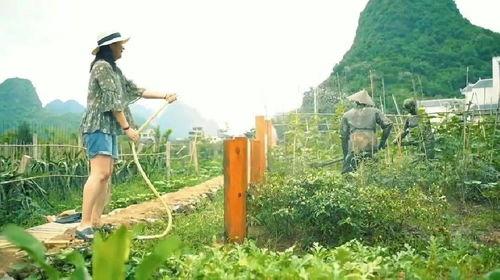 马山县网红菲菲,魅力四溢的乡村新宠