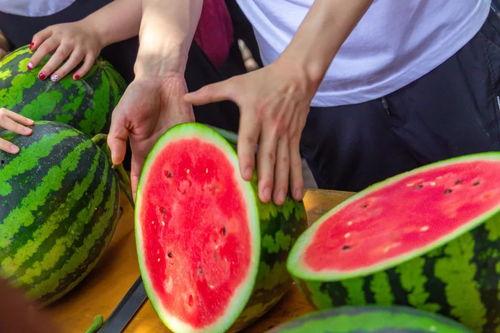 青海大学马钰欣吃瓜,揭秘校园“吃瓜”风云