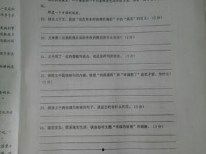 文章标题头条搜不到,我国新能源产业的崛起之路