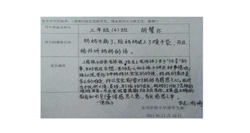 申报小明星家长评语,成长足迹与荣誉瞬间