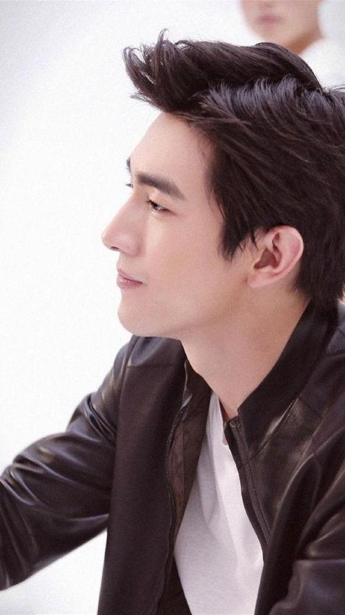 明星仔的图片,光影交织下的璀璨星光