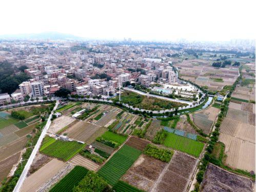 泉州安海小镇新闻头条,新闻头条聚焦古韵新篇