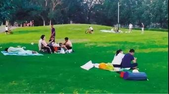 草地情侣吃瓜最近,揭秘夏日浪漫瞬间