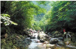 杭州爆料蝴蝶谷视频,探秘自然奇观，千姿百态蝴蝶盛宴