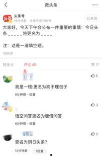 今日头条网友评论下载,网友热议如何平衡工作与生活，揭秘高效生活秘诀