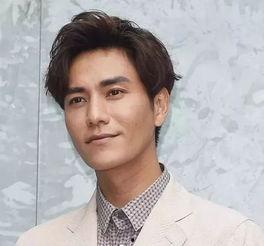 国内男明星照片,国内男明星风采瞬间