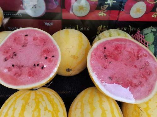 吃货吃麒麟瓜,吃货的瓜界探险记