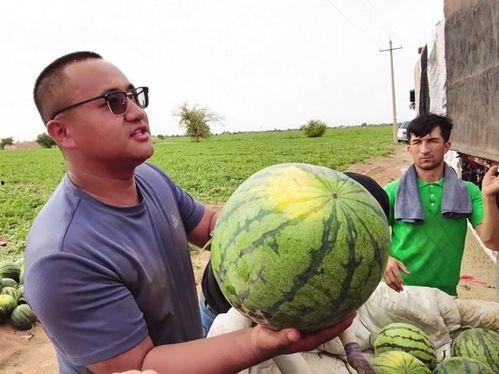 天鹅洞吃瓜,一场别开生面的吃瓜之旅